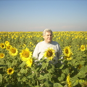 александр 68 лет (Близнецы) Тульский