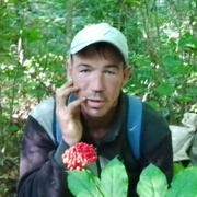 Роман, 28, Чугуевка