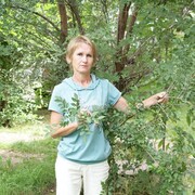 Елена, 65, Алтайский