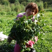 Татьяна, 56, Невель
