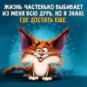 Владимир (@vladimir6649723) — моя фотография № 11