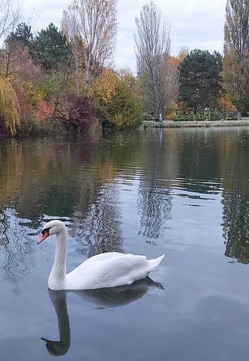 Serge (@serj32081) — my photo № 45