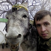 Вася, 42, Пошехонье-Володарск