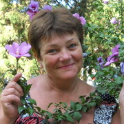 Надежда, 63, Фрязино