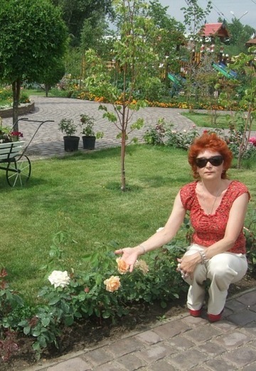 Моя фотография - Светлана, 58 из Красноярск (@svetlana228111)