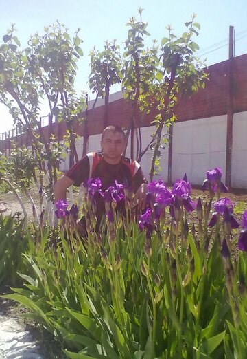 Моя фотография - Антон, 33 из Томск (@anton153268)