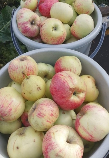 Yanessa (@yanessa31) — my photo № 15