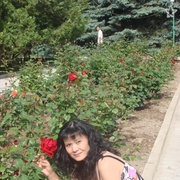 Lora Lee 60 Bishkek