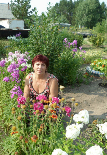 Моя фотография - Надежда, 65 из Киселевск (@nadejda47080)