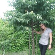 Лена, 37, Кизляр