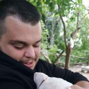 Branislav 31 Novi Sad