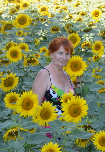 Моя фотография - Ольга, 62 из Армавир (@olga303293)