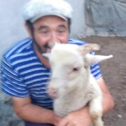 Гусейн, 60, Кизляр