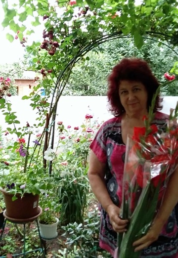 Mein Foto - Tamara, 67 aus Nowotscherkassk (@tamara24059)