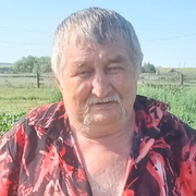 Вилис, 68, Бирск