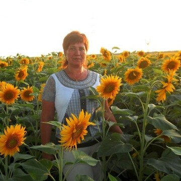 Моя фотография - Наталья Абросимова, 65 из Боровичи (@natalyaabrosimova)