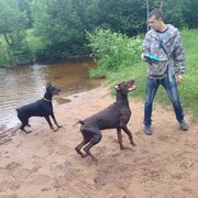Алексей, 33, Пикалёво