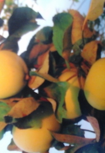 yura (@ura38585) — my photo № 6