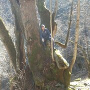 халит, 50, Карачаевск