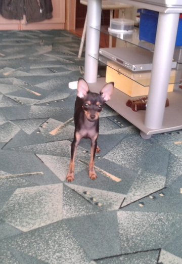 Vladimir (@swbratsk) — my photo № 3