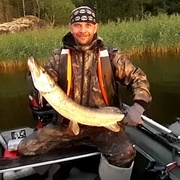 Дима, 38, Александровская