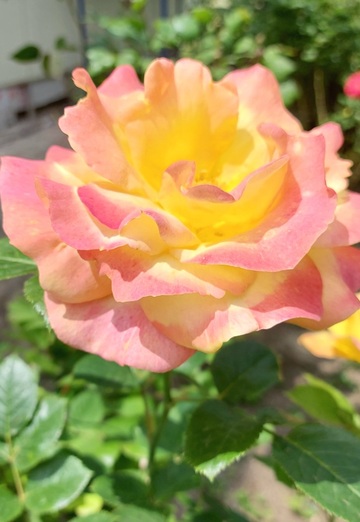 Serge (@serj32081) — my photo № 16