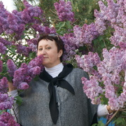 Ольга, 62, Камышин
