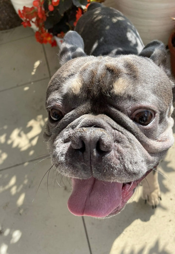 Roman (@zelenaya-krovlya) — my photo № 3