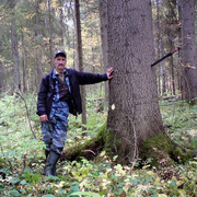 Денис Лебедев, 46, Пикалёво