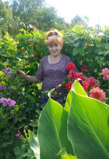 Моя фотография - Нина, 73 из Калининград (@nina40261)