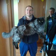 Сергей, 39, Иглино