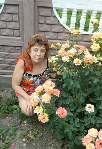 Benim fotoğrafım - larisa, 52  Yenakiyeve şehirden (@id570036)