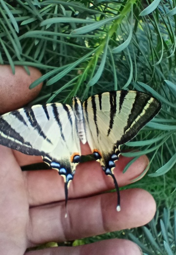 Evgeniy (@evgeniy444388) — my photo № 7