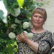 Ольга, 69, Старощербиновская