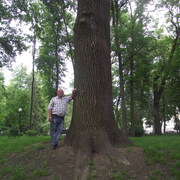 дмитрий, 49, Буй
