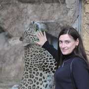 Regina 40 Saint Petersburg