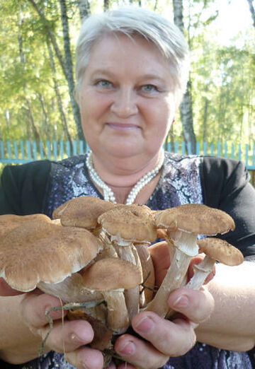 My photo - Galina, 66 from Krasnoyarsk (@galina31794)
