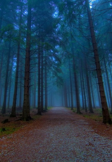 Elena (@elena60892) — my photo № 21