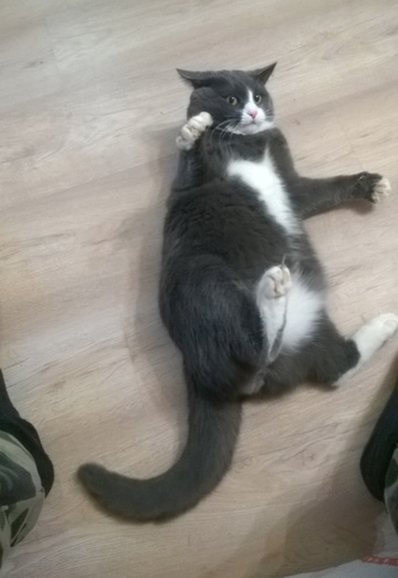 Oleg (@oleg6936604) — my photo № 4