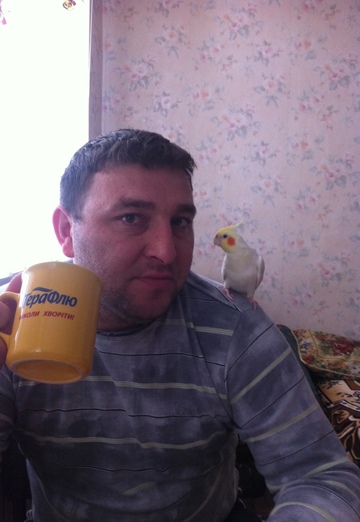 My photo - Rollan, 35 from Yevpatoriya (@rollan132)