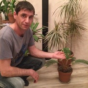 Виктор, 45, Терней