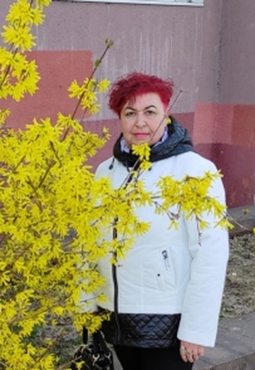Моя фотография - Наталья, 62 из Новополоцк (@natalwy7975306)