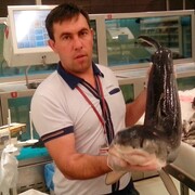 ВИТАЛИЙ, 34, Палласовка (Волгоградская обл.)