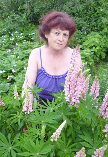 Моя фотография - Галина, 74 из Барнаул (@galina9102)