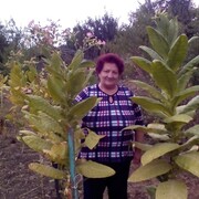 Раиса, 72, Чегдомын