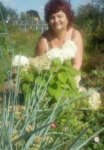 My photo - tatyana, 58 from Vologda (@tatyana300143)