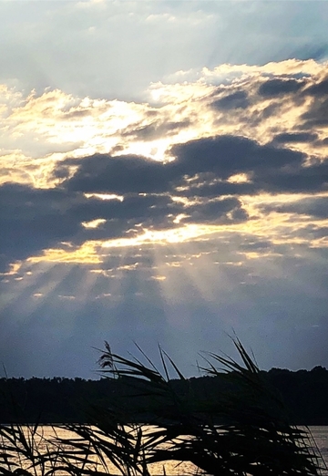 Anton (@anton194611) — my photo № 6