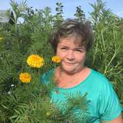Светлана, 57, Шуя
