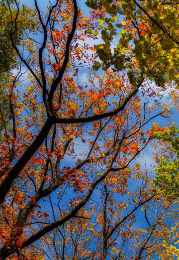 Konstantin (@konstantin010164) — my photo № 10