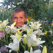 Владимир, 70, Новопавловск